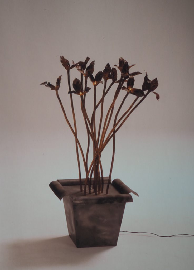 Steel and copper light sculpture. Individually shaped petals everyone bespoke in colour and shape. Part rust washed steel plant pot finished to prevent further colouration.